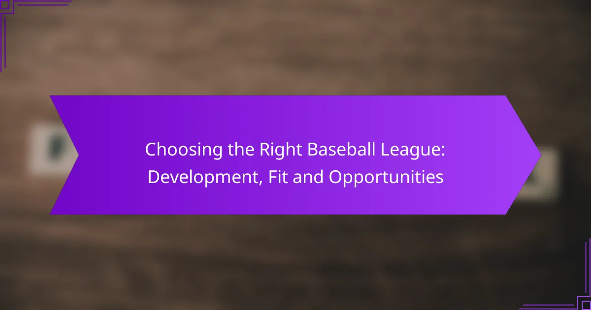 Choosing the Right Baseball League: Development, Fit and Opportunities