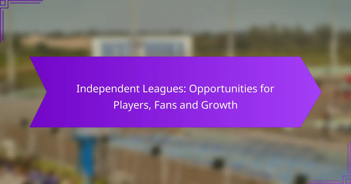 Independent Leagues: Opportunities for Players, Fans and Growth