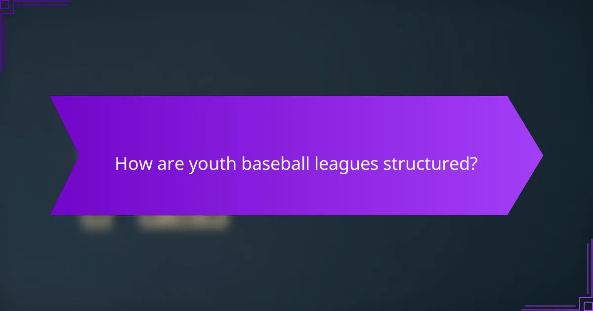 How are youth baseball leagues structured?
