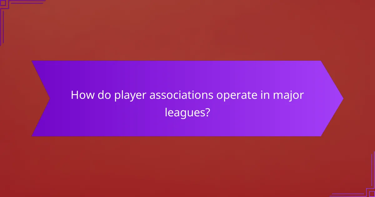 How do player associations operate in major leagues?