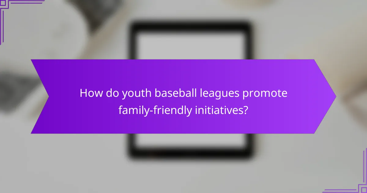 How do youth baseball leagues promote family-friendly initiatives?
