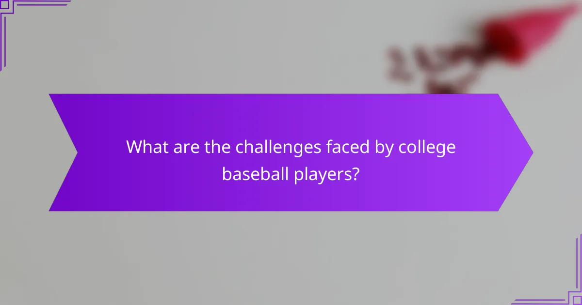 What are the challenges faced by college baseball players?