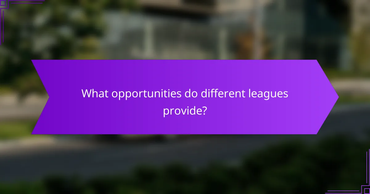What opportunities do different leagues provide?