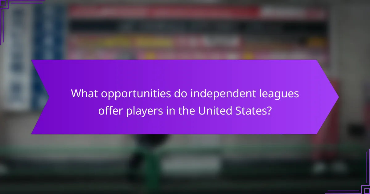What opportunities do independent leagues offer players in the United States?