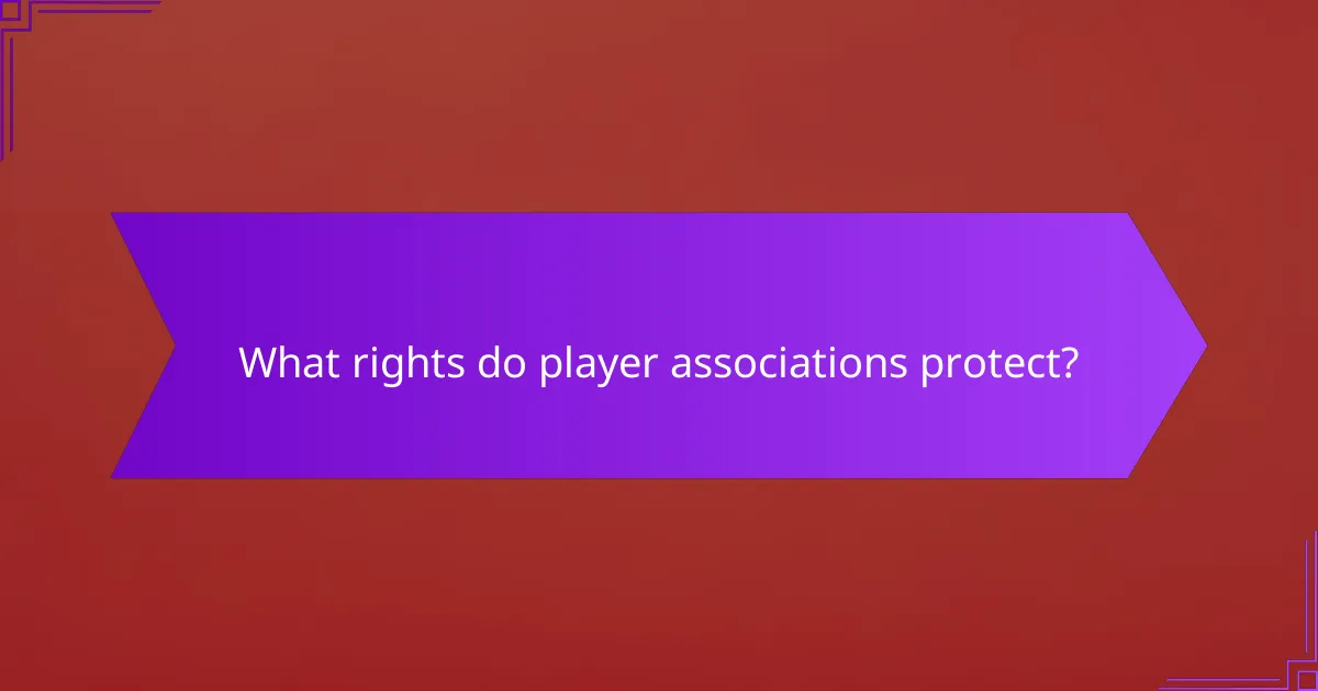 What rights do player associations protect?