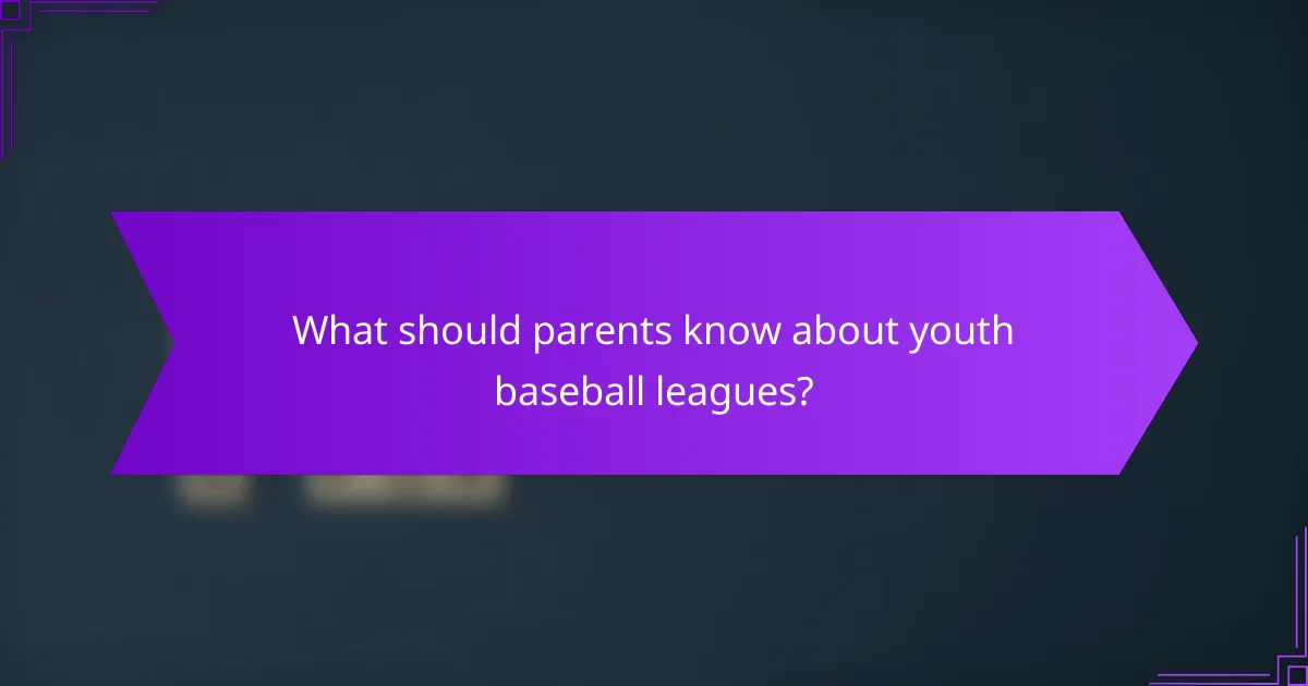 What should parents know about youth baseball leagues?