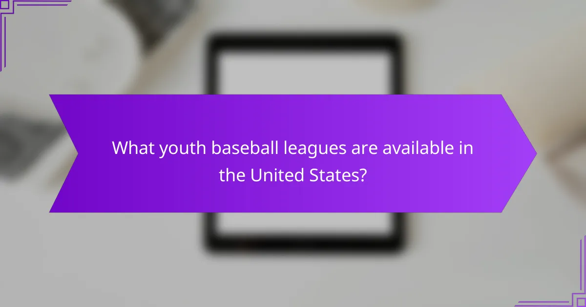 What youth baseball leagues are available in the United States?